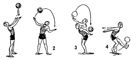 Упражнения с баскетбольным мячом в домашних условиях