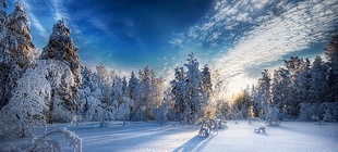 Зимний отдых и спорт в Финляндии