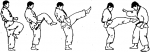 Основные удары ногами в каратэ